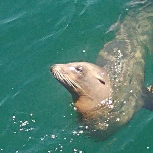 Meet your Posher, Hector miguel